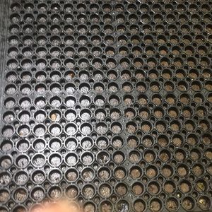 Meet your Posher, Chadd